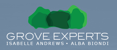 Tips for first time homebuyers