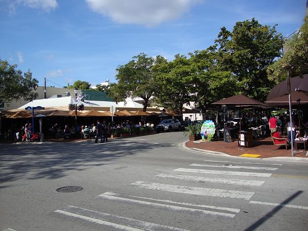 What does Coconut Grove Have to offer you
