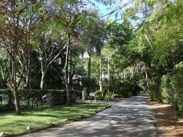 What does Coconut Grove Have to offer you