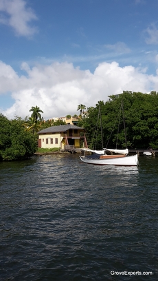 Coconut Grove Pictures